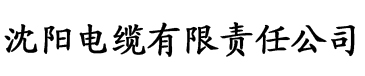 香蕉ios视频电缆厂logo